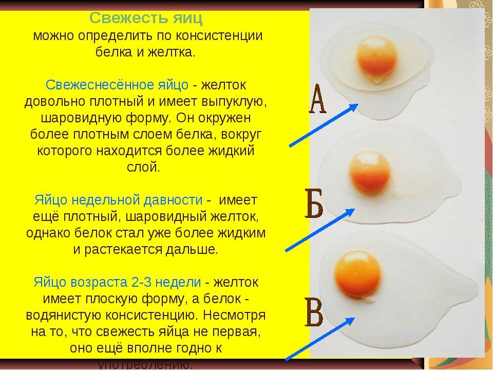 Как определить свежесть куриных яиц в домашних условиях? способы проверки, полезные рекомендации