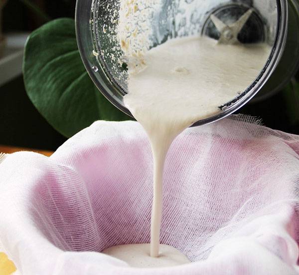 Как сделать полезное кокосовое молоко в домашних условиях