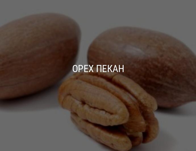 Пекан – польза орехов для мужчин и женщин!