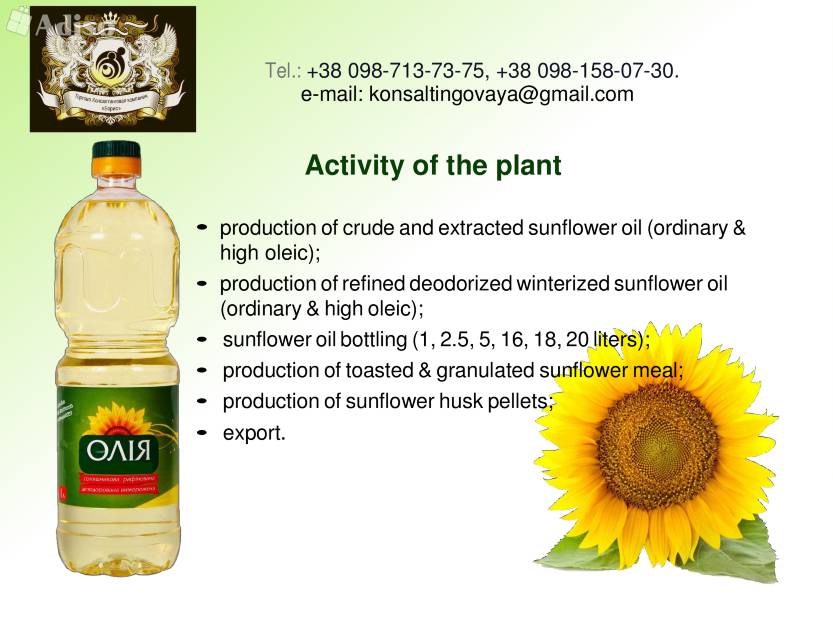 Чем отличается рафинированное растительное масло от нерафинированного: подсолнечное и другие виды масел без запаха?