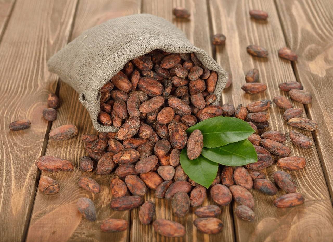Всё о полезных свойствах какао-бобов