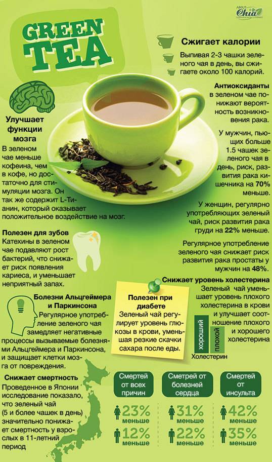 Чай польза и вред для здоровья