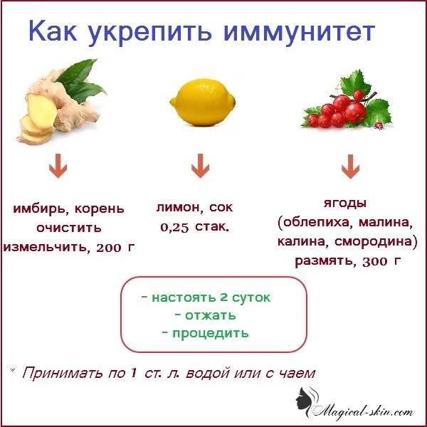 Какие фрукты повышают иммунитет: овощи, ягоды, фруктовая смесь для взрослых