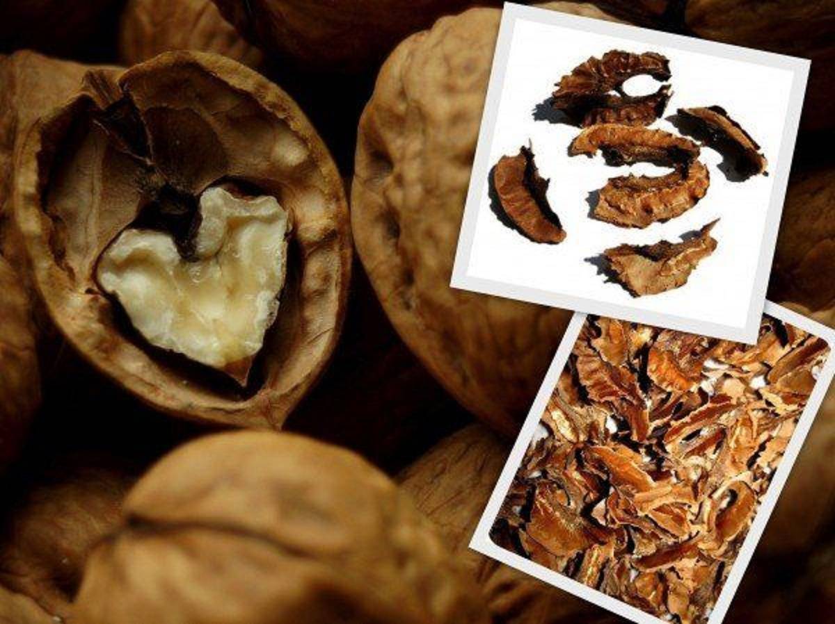 Чем полезны перегородки грецкого ореха и что из них можно сделать?