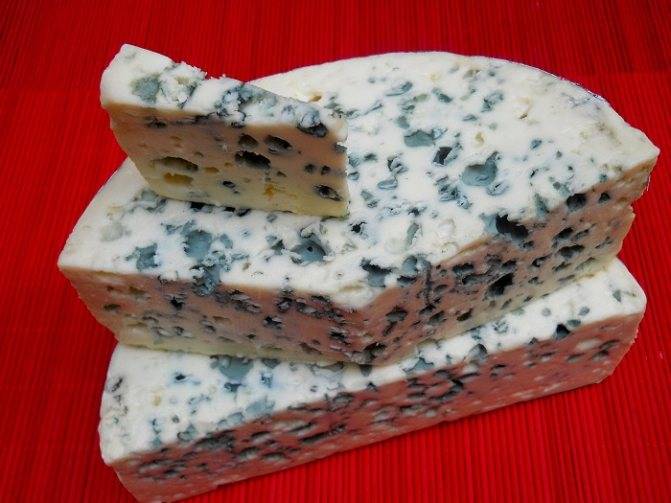 Сыр с плесенью: действительно ли он полезен?