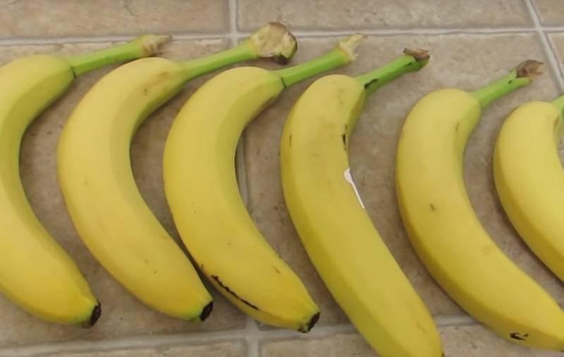 Как и сколько можно хранить бананы в домашних условиях, правила