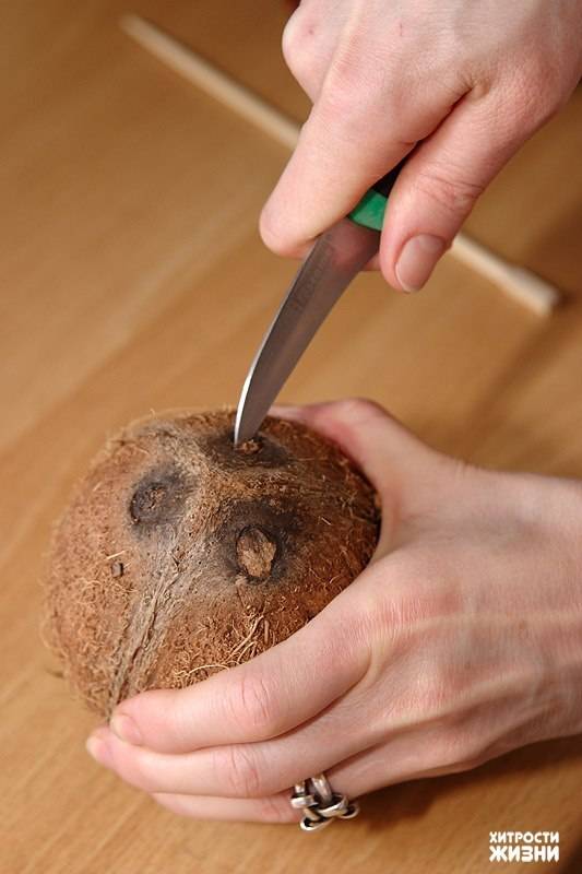 Как расколоть кокос в домашних условиях