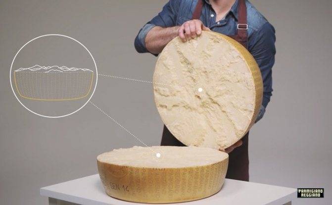 Сыр пармезан польза и вред