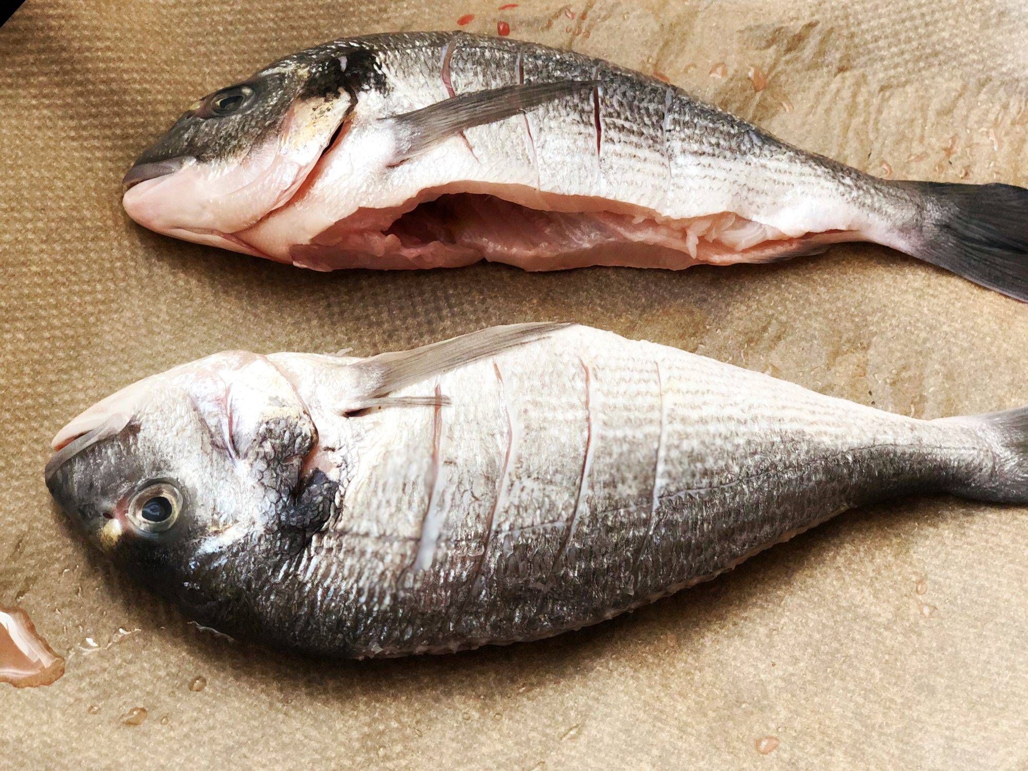 Рыба дорадо: польза и вред для организма. рыбалка на дорадо дорадо какая рыба морская или речная