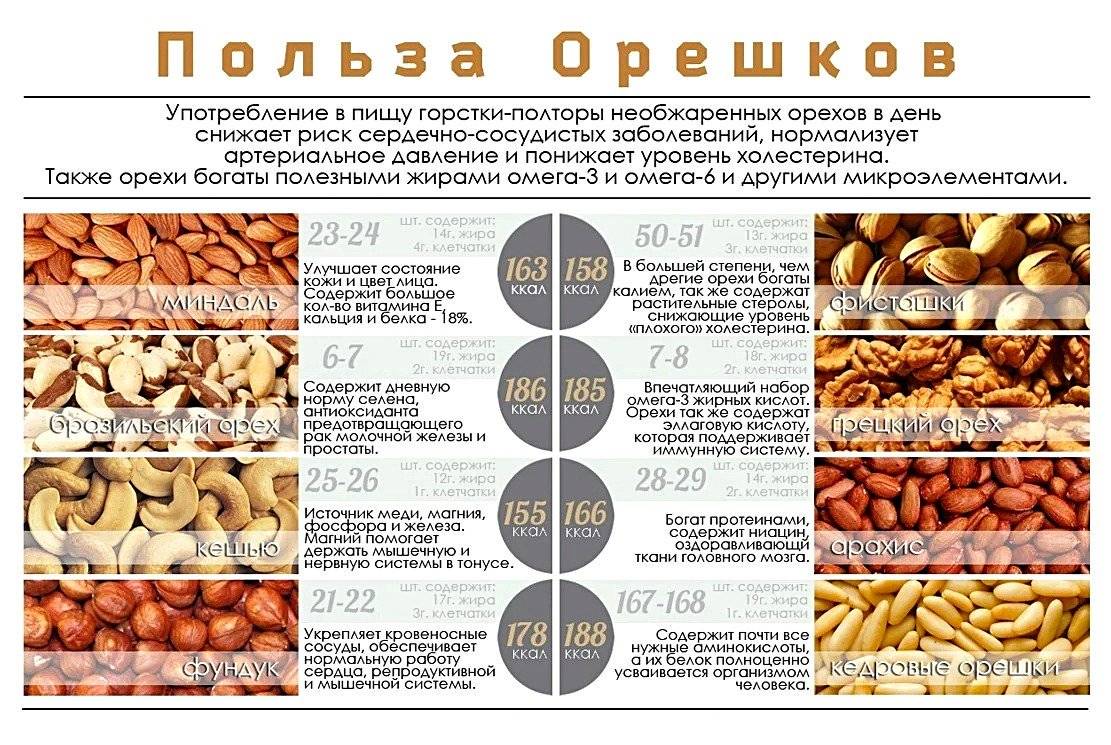 Полезные свойства орехов: для здоровья и стройной фигуры