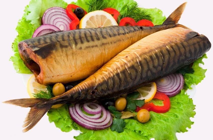 Рыба кефаль: польза и вред, химический состав, калорийность, фото