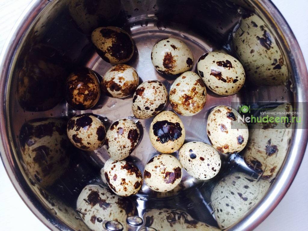 Как варить перепелиные яйца вкрутую?