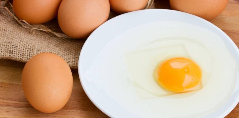 Яйца, польза и вред для здоровья человека