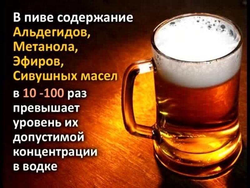 Вредное и полезное пиво для мужчин