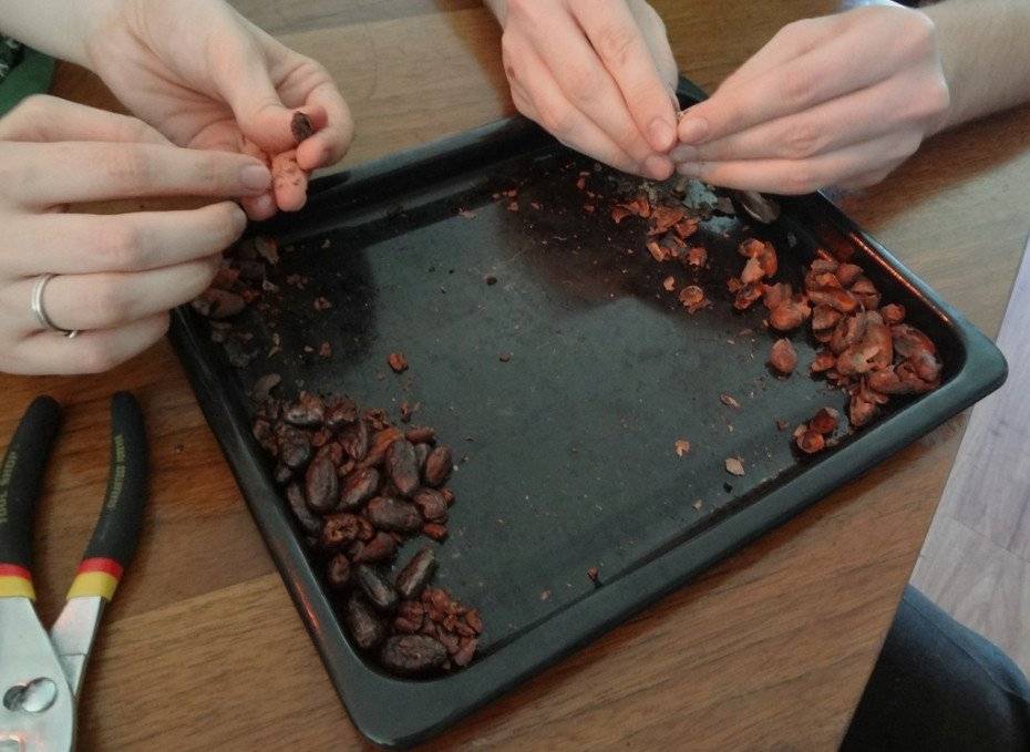 Какао бобы вред и польза