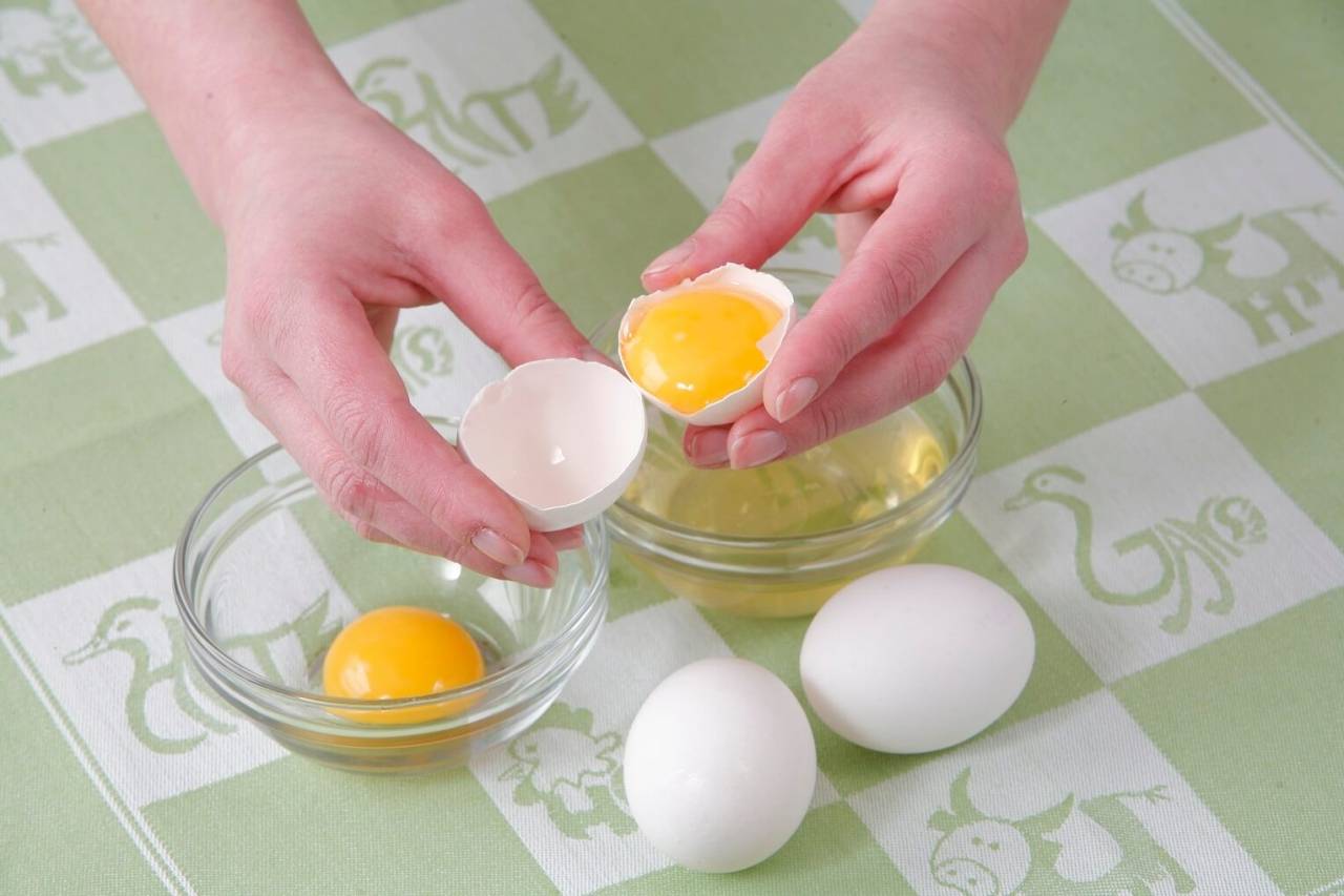 Лечебные свойства белка куриного яйца