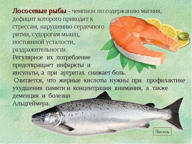 Откуда завезен рыба пеленгас. пленегас — чем полезна эта рыбка? оригинальный рецепт приготовления. история появления в южных морях