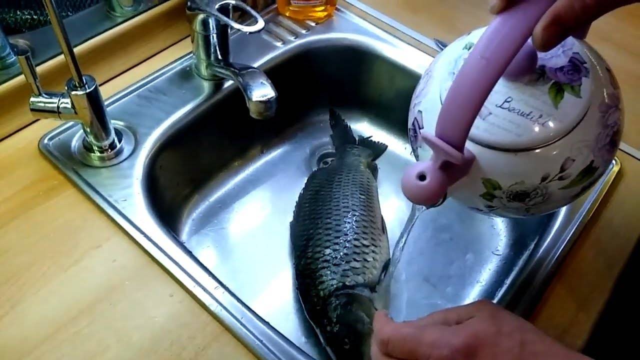 Как и чем быстро почистить рыбу от чешуи?