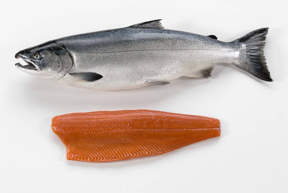 Полезная и некалорийная рыба кижуч: польза и вред