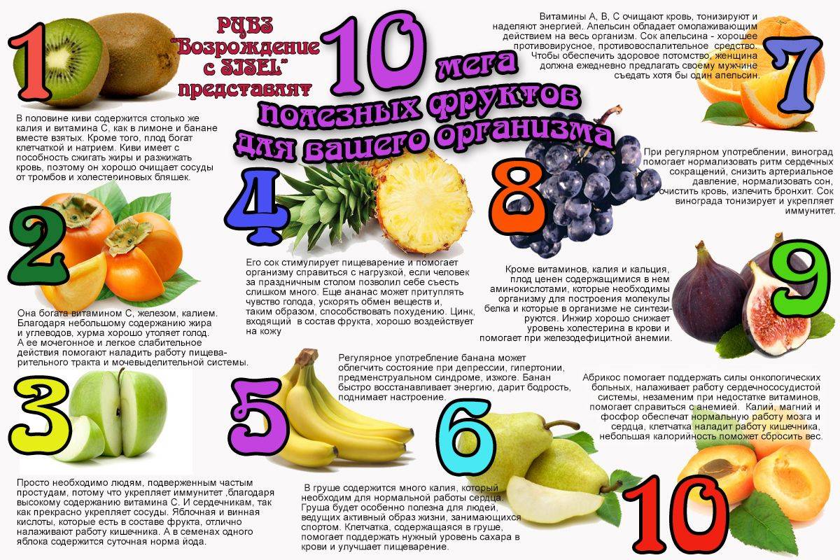 Топ 7 фруктов и овощей, улучшающих память и внимание — какие из них самые полезные для мозга?