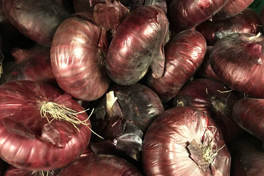 О полезных свойствах красного лука: как принимать овощ для лечения и чем он лучше своего белого собрата?