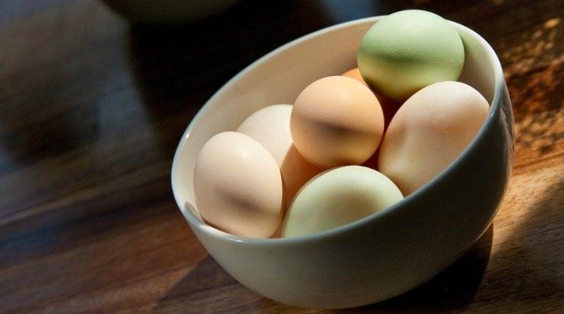 А не будет ли от употребления утиных яиц вреда, задаются многие? все о свойствах, пользе и вреде утиных яиц, особенностях их приготовления