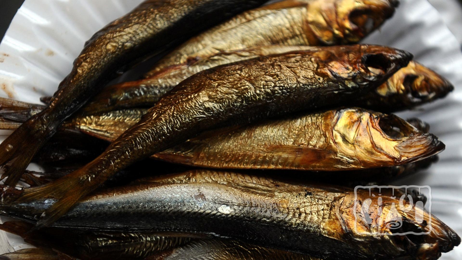 Скромная рыбка хамса: польза и вред для организма + способы приготовления