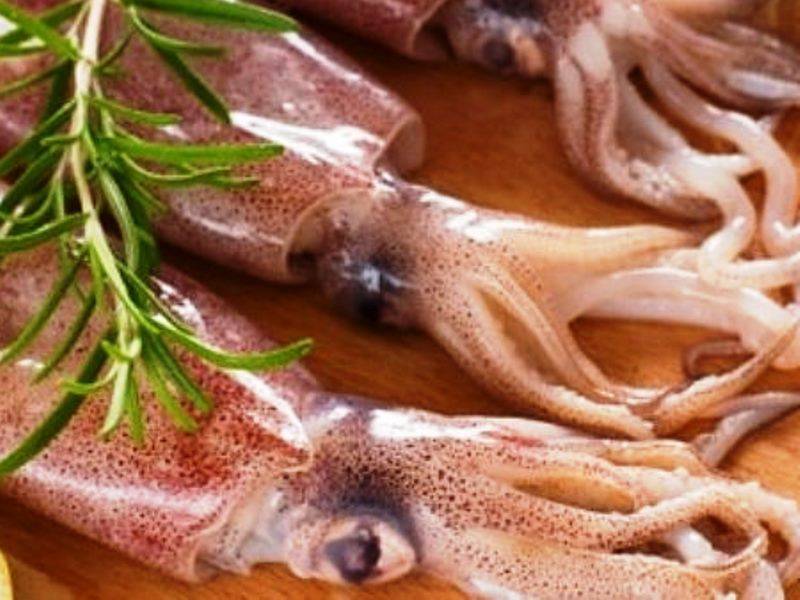 Кальмары – вкусный и полезный морепродукт