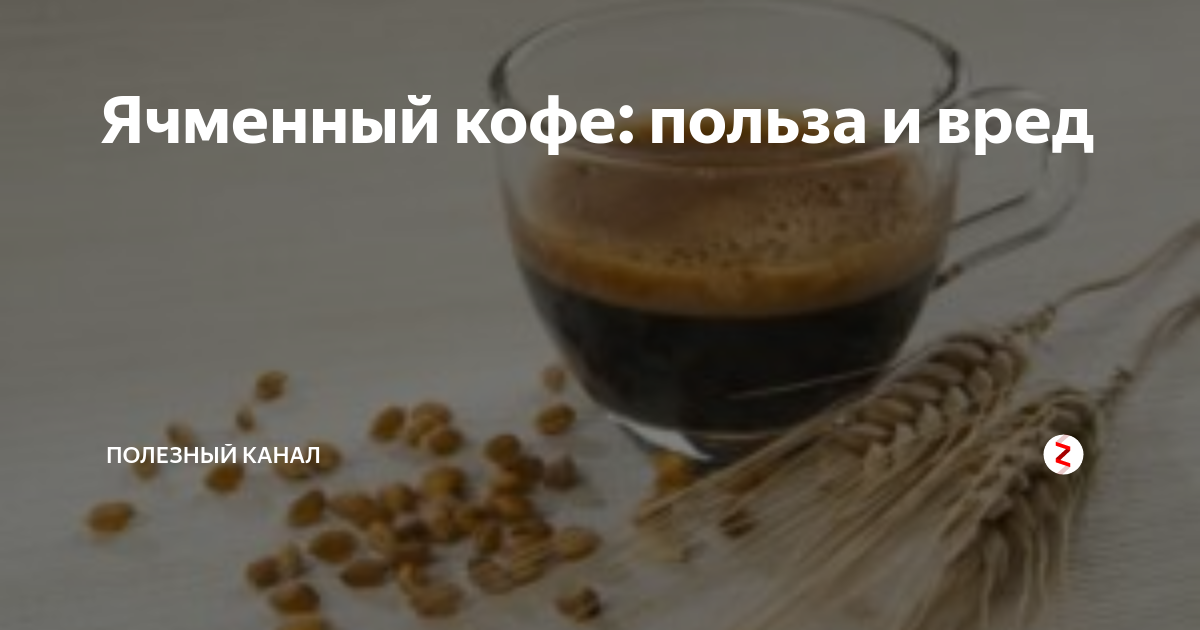 Ячменный растворимый напиток. кофе из ячменя польза и вред. в чем польза от ячменного кофе