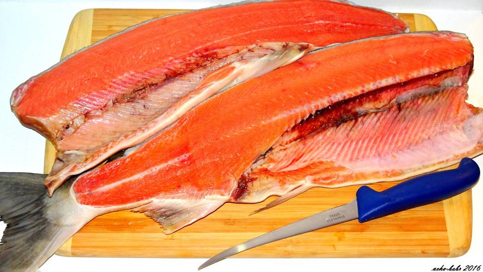 Рыба кета: польза и вред, химический состав, противопоказания