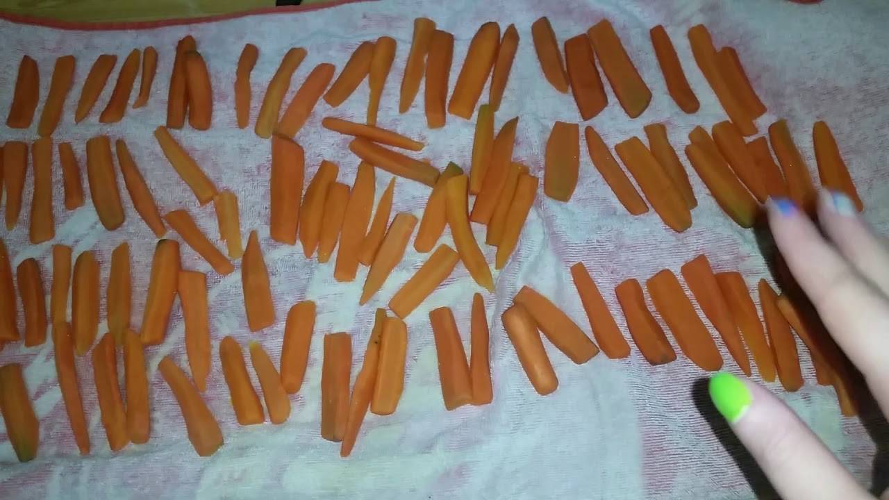 Хотите засушить морковь? прекрасный выбор!