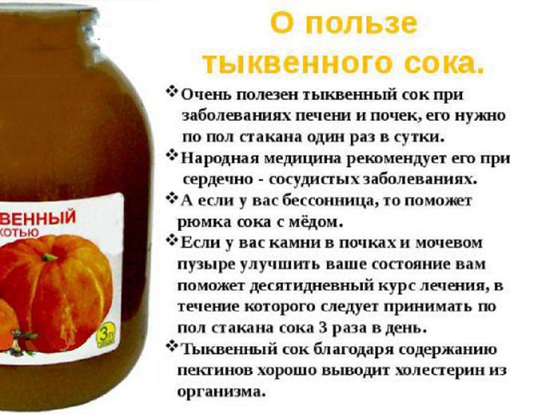 Плод тыква: польза и вред для организма человека, простые рецепты из тыквы