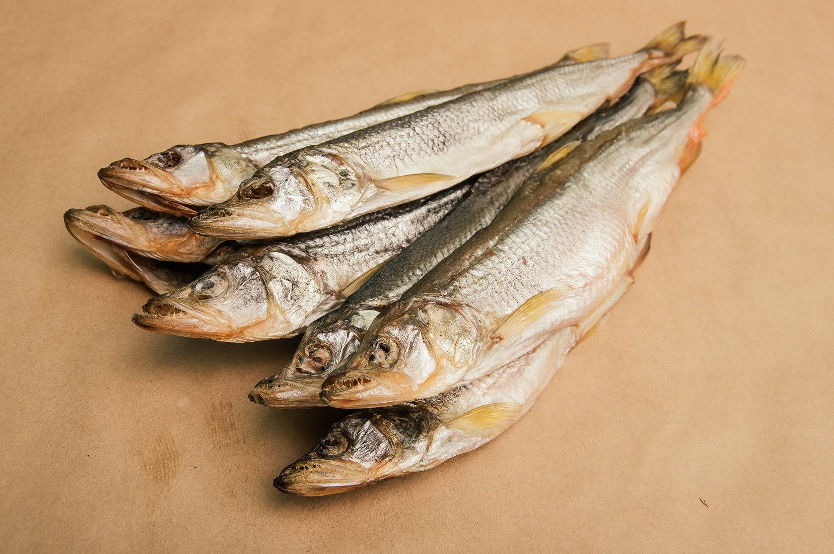 Корюшка рыба: свойства, польза и вред, калорийность. рецепты и как приготовить корюшку