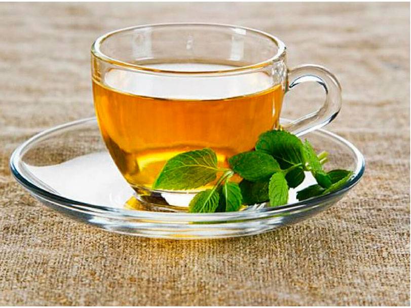 Умиротворяющий чай с мелиссой и его польза для организма