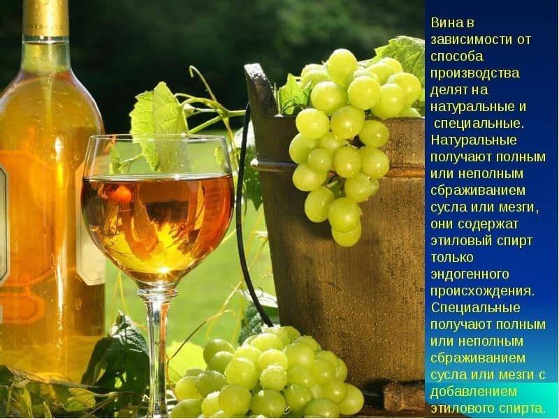 Белое вино: польза и вред напитка для мужчин и женщин