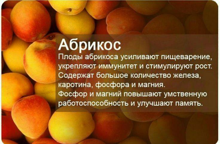 Польза персиков для женщин
