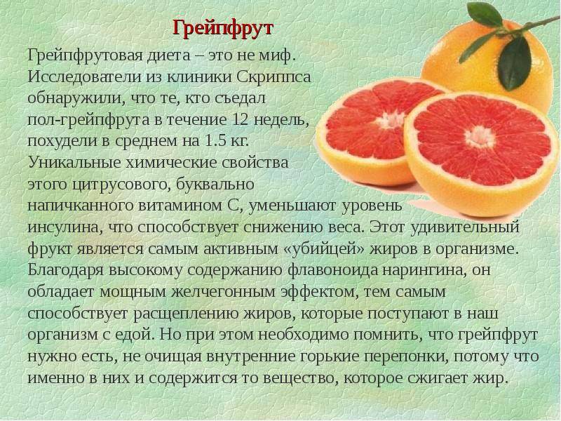 Экзотическая папайя: польза и вред фрукта для организма