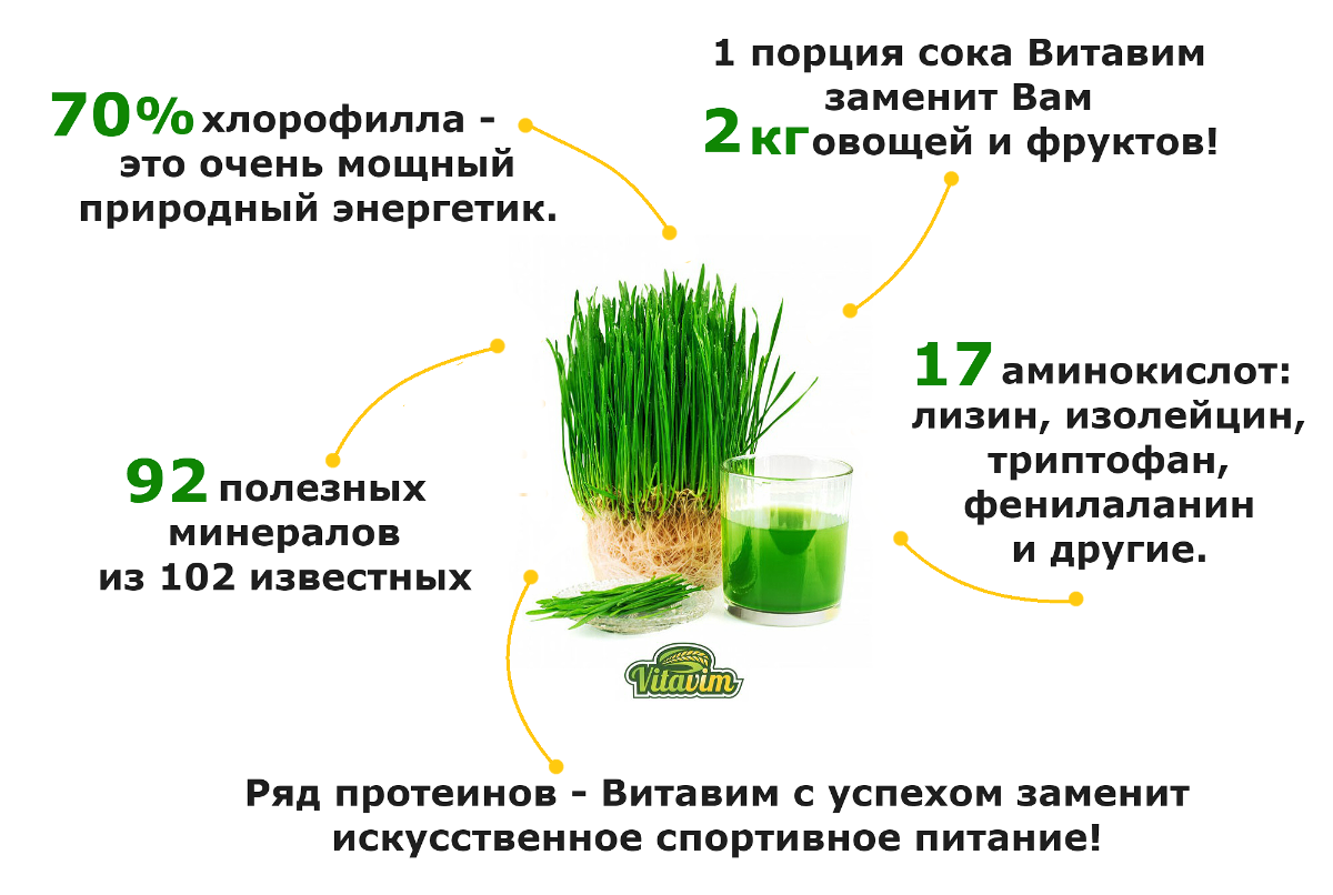 Польза и вред пророщенной пшеницы для организма: как проращивать для еды дома и как принимать