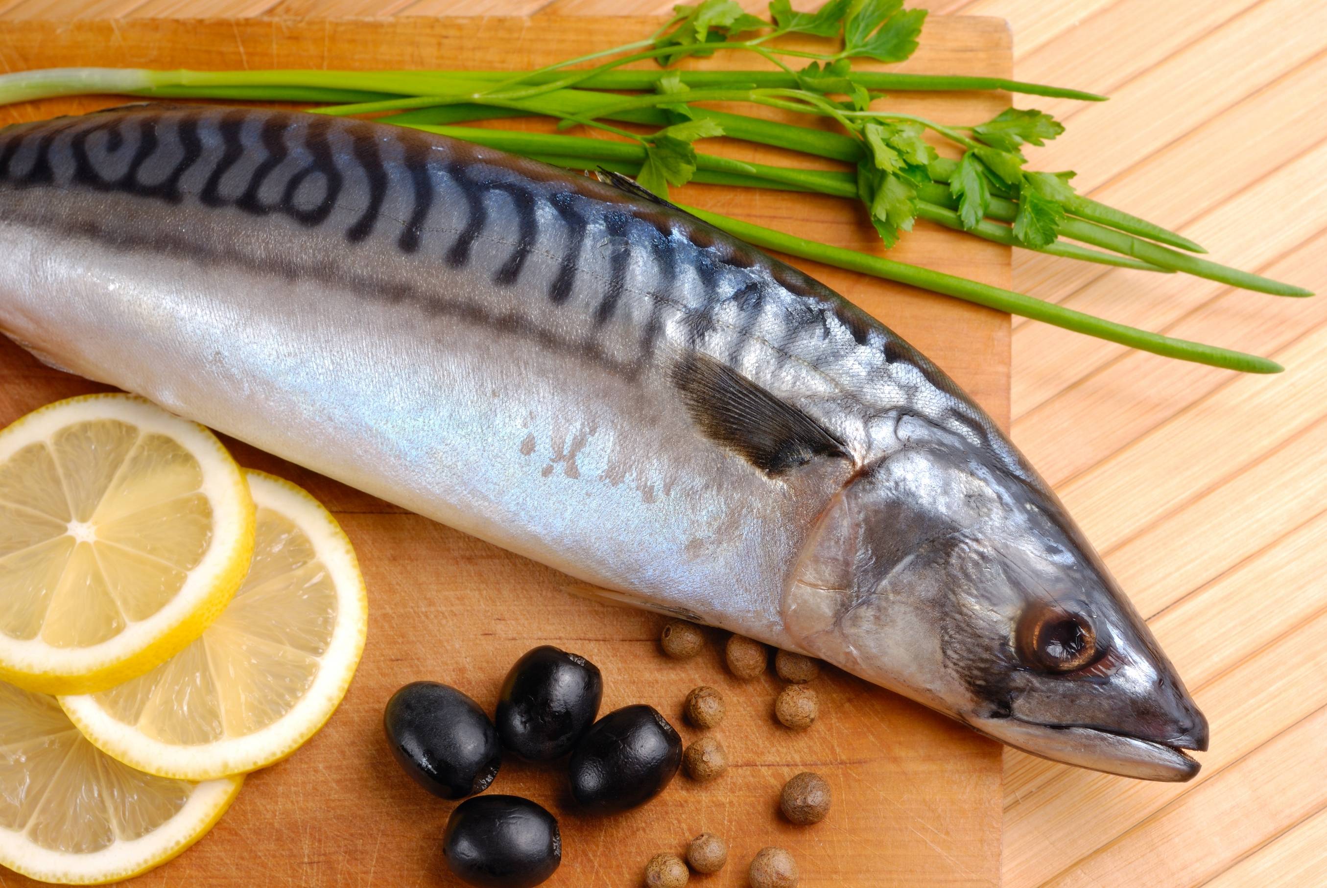 Осетр – полезные свойства и противопоказания царской рыбы