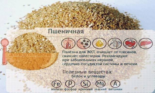 Чем полезна пшеничная каша для здоровья человека