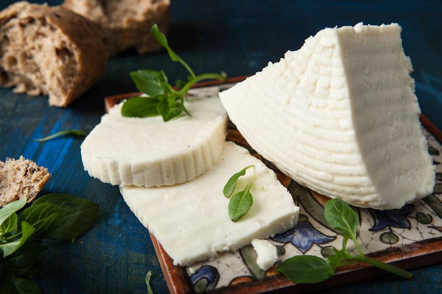 Адыгейский сыр, польза и вред для организма, как готовить жареный сыр