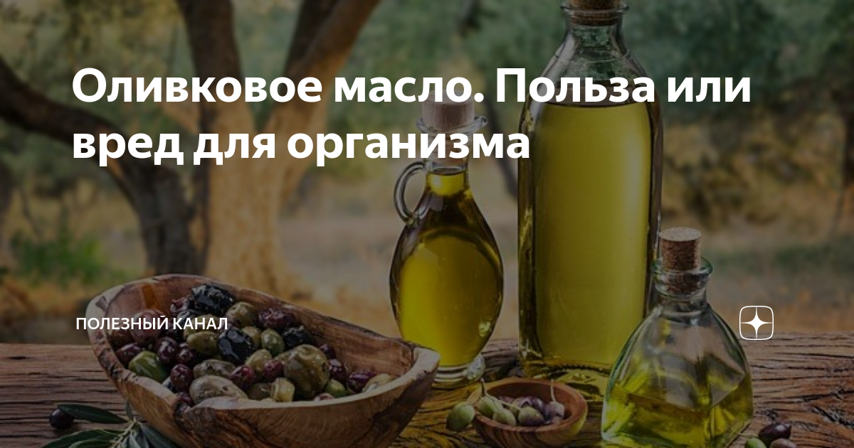 Потрясающее оливковое масло: полезный состав, советы по употреблению и выбору