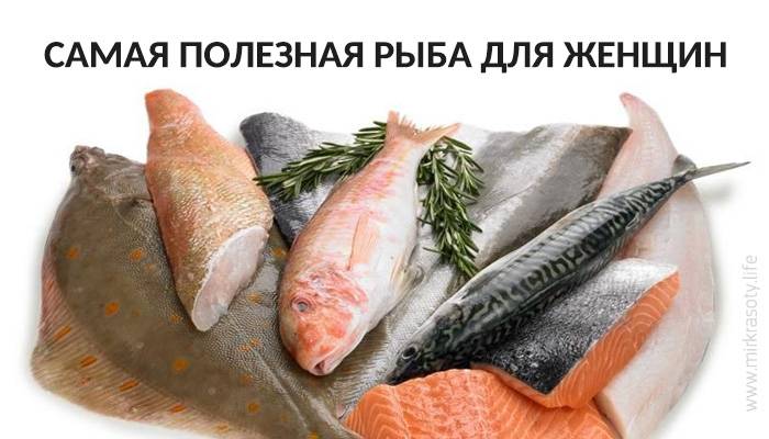 3 самых полезных свойства рыбы (и список лучших сортов)