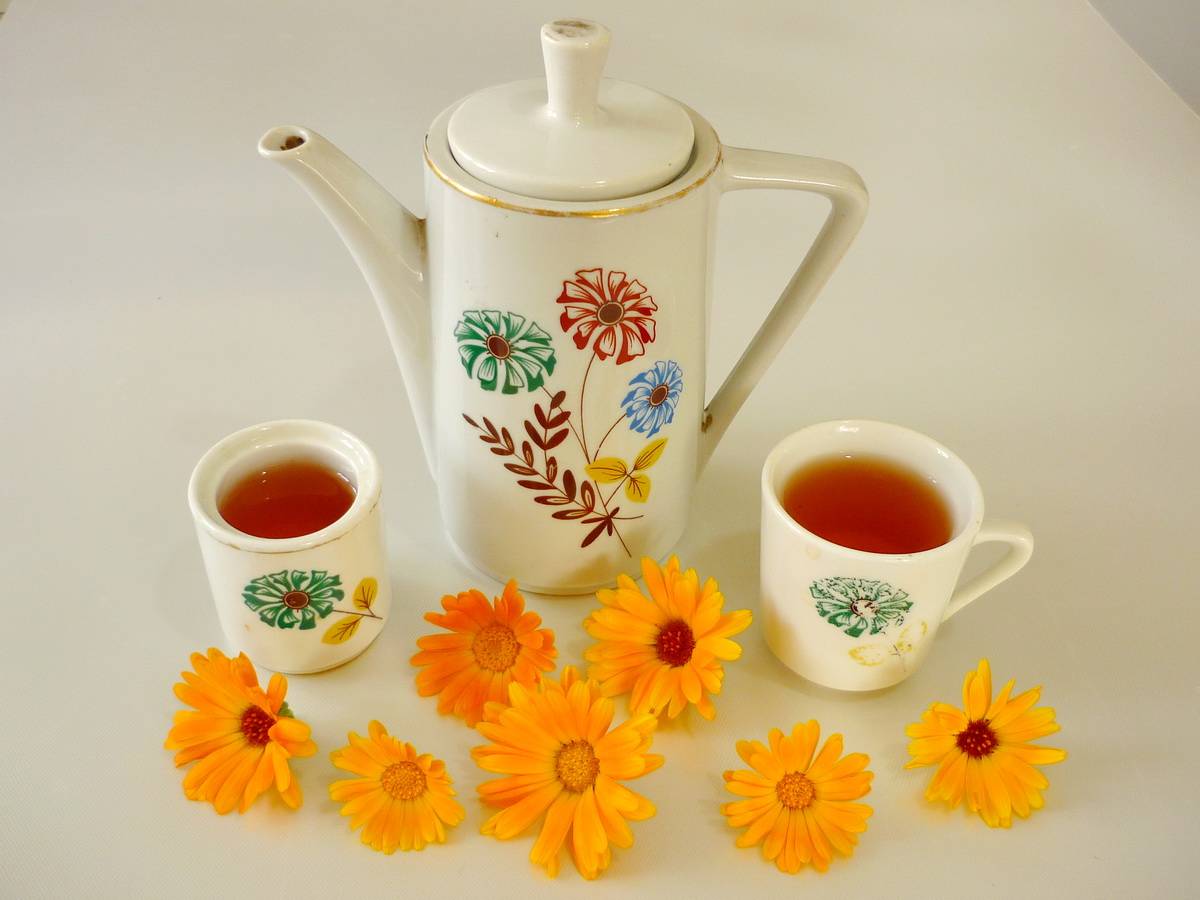 Полезные свойства и рецепты чая из календулы