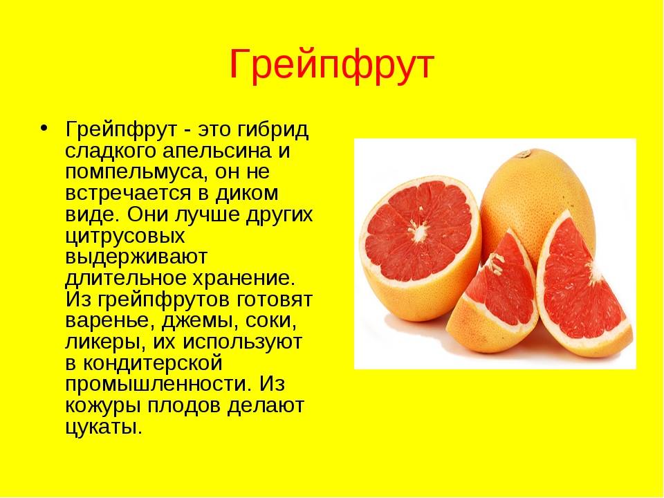 Чем полезен грейпфрут для организма человека?