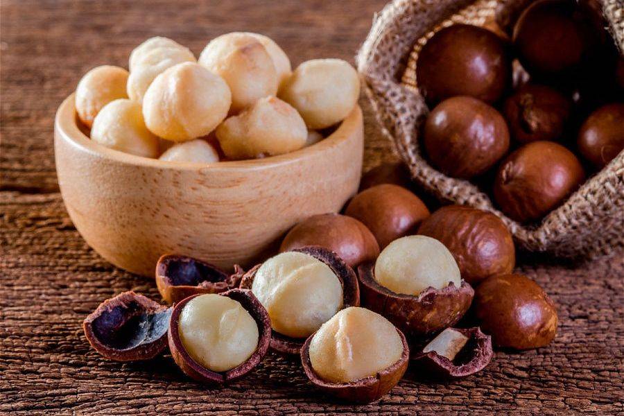 Австралийские орехи макадамия. польза и вред для организма, сколько можно есть, калорийность, противопоказания