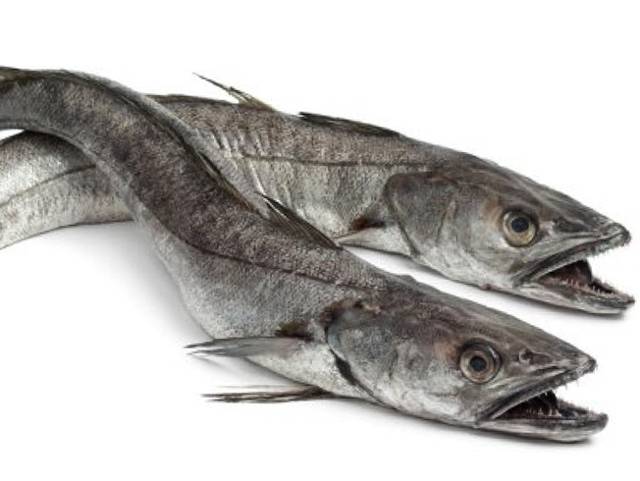 Хек: польза и вред для здоровья. диетическая рыба хек: польза и вред, особенности приготовления продукта