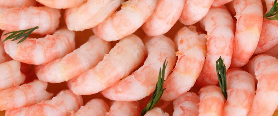 Креветки — польза и вред этого морепродукта