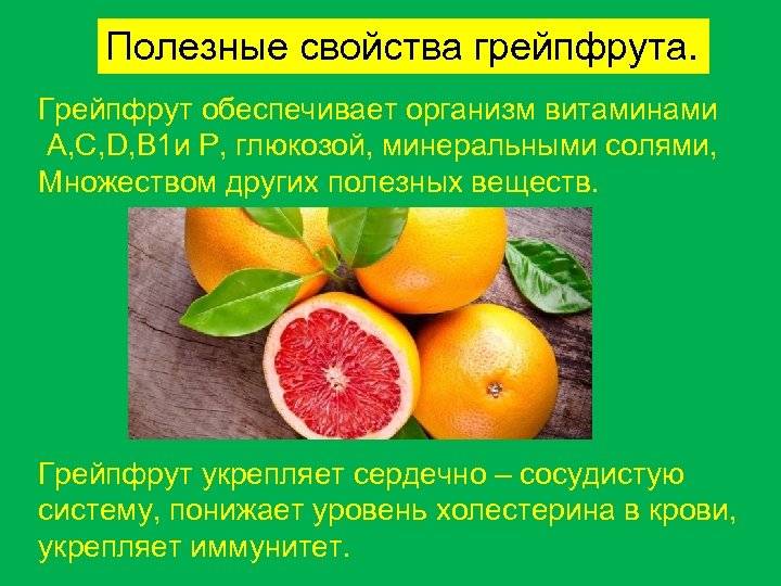 Грейпфрут: польза и вред для здоровья организма, употребление при похудении