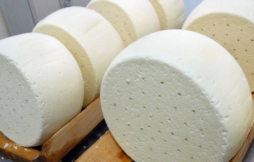 Адыгейский сыр — польза и вред, состав, применение и калорийность